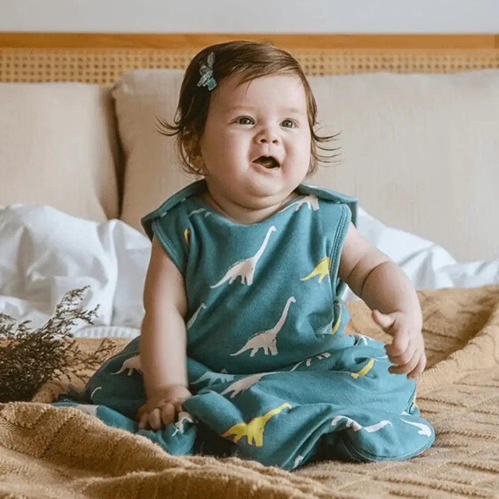 Gigoteuse Hiver Bébé TOG 2.5 gigoteuse turbulette gigoteuse gigoteuse hiver gigoteuse tog 2